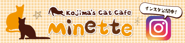 コジマのねこカフェミネット