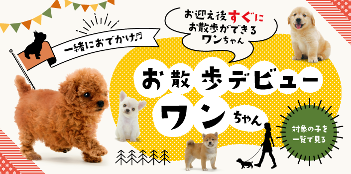 犬 サークル【コジマ】 犬用品 ペット用品 その他 割引即日発送